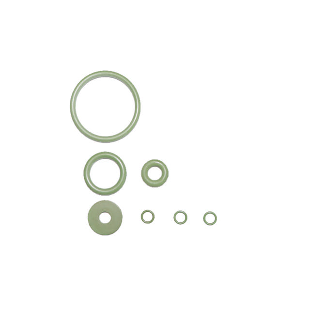 Juego de juntas tóricas de Viton 