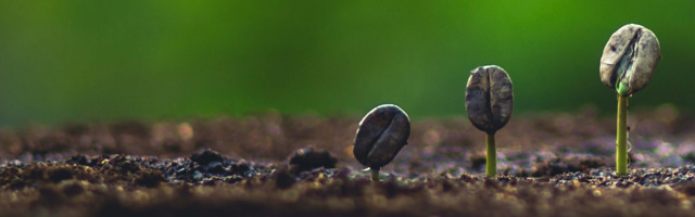 Otras iniciativas de colaboración ecológica